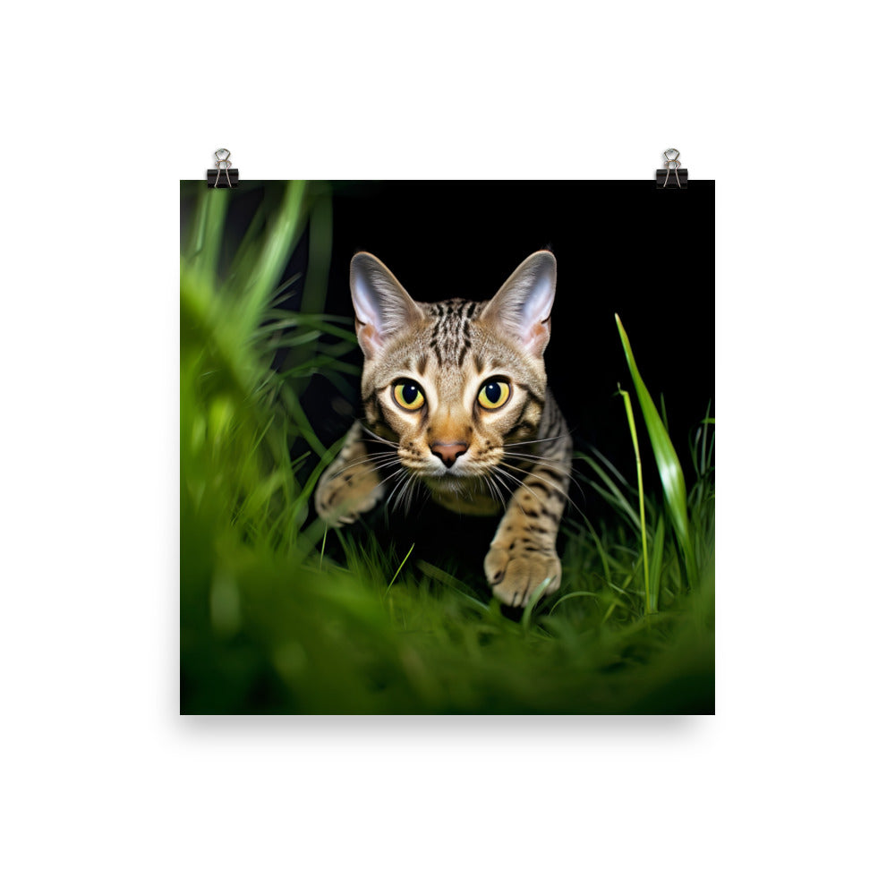 Agile Grace of Ocicat Cat Photo paper poster - PosterfyAI.com