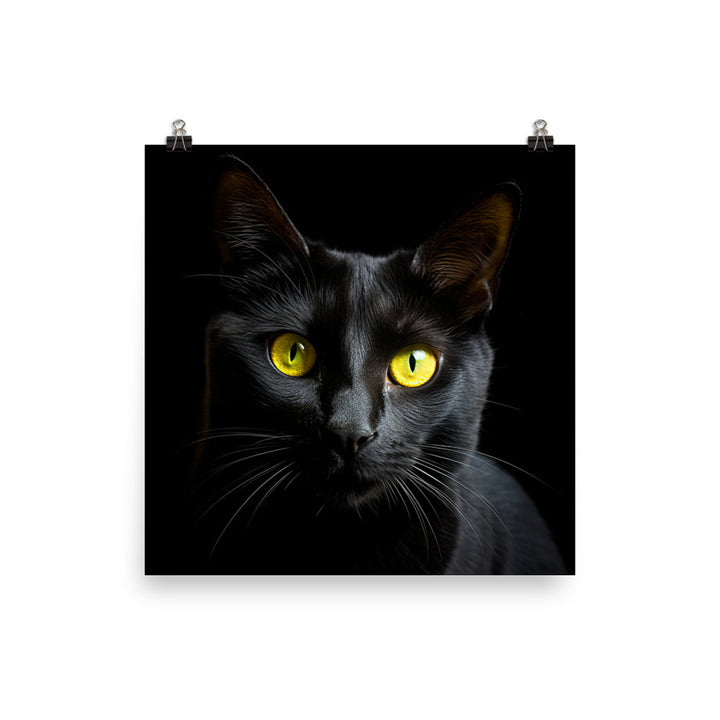 Bombay Cat in Stunning Detail Photo paper poster - PosterfyAI.com