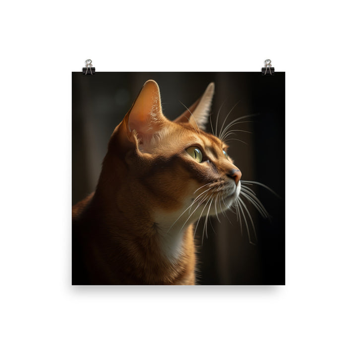 Abyssinian Cat Photo paper poster - PosterfyAI.com