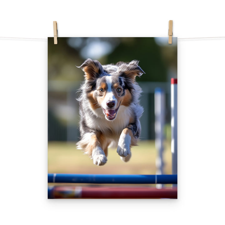 Australian Shepherd Photo paper poster - PosterfyAI.com