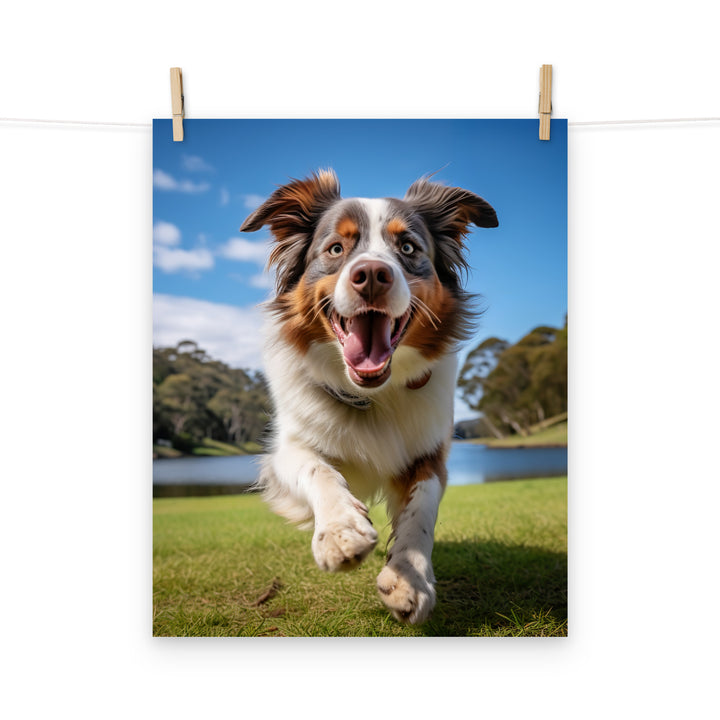 Australian Shepherd Photo paper poster - PosterfyAI.com