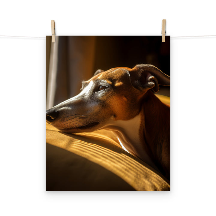 Greyhound Photo paper poster - PosterfyAI.com