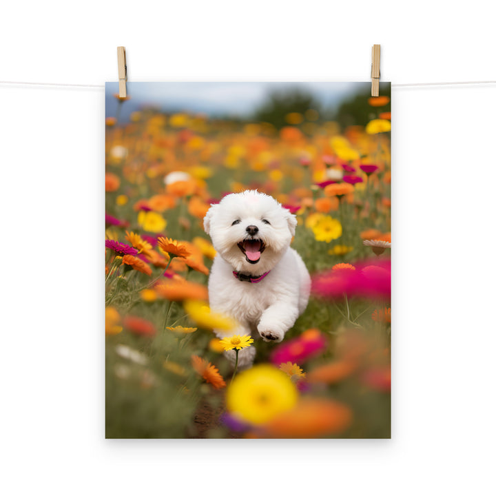 Bichon Frise Photo paper poster - PosterfyAI.com