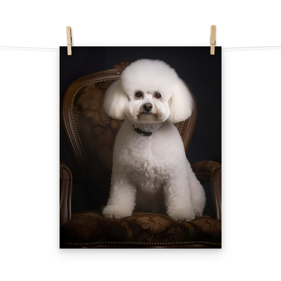 Bichon Frise Photo paper poster - PosterfyAI.com