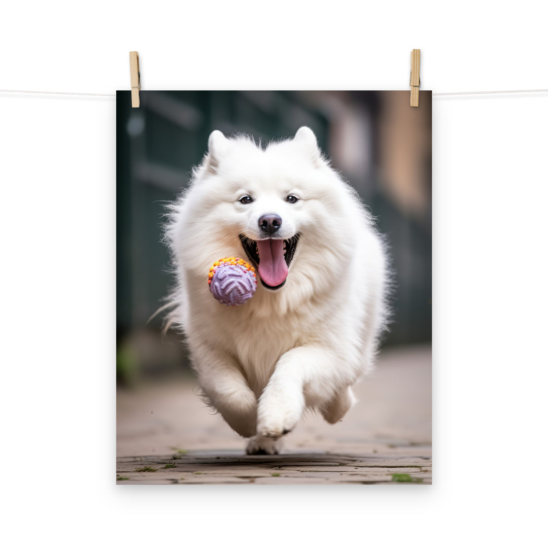 Samoyed Photo paper poster - PosterfyAI.com