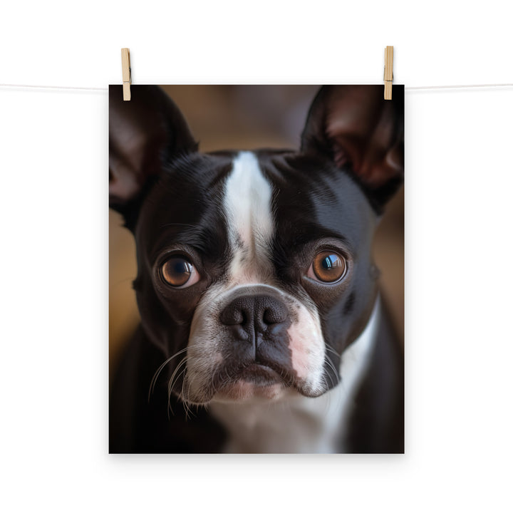 Boston Terrier Photo paper poster - PosterfyAI.com