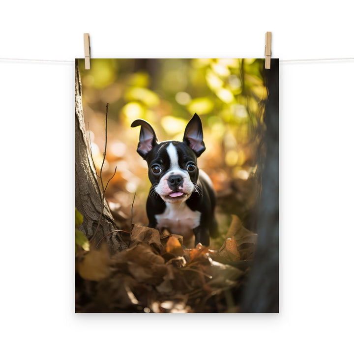 Boston Terrier Photo paper poster - PosterfyAI.com