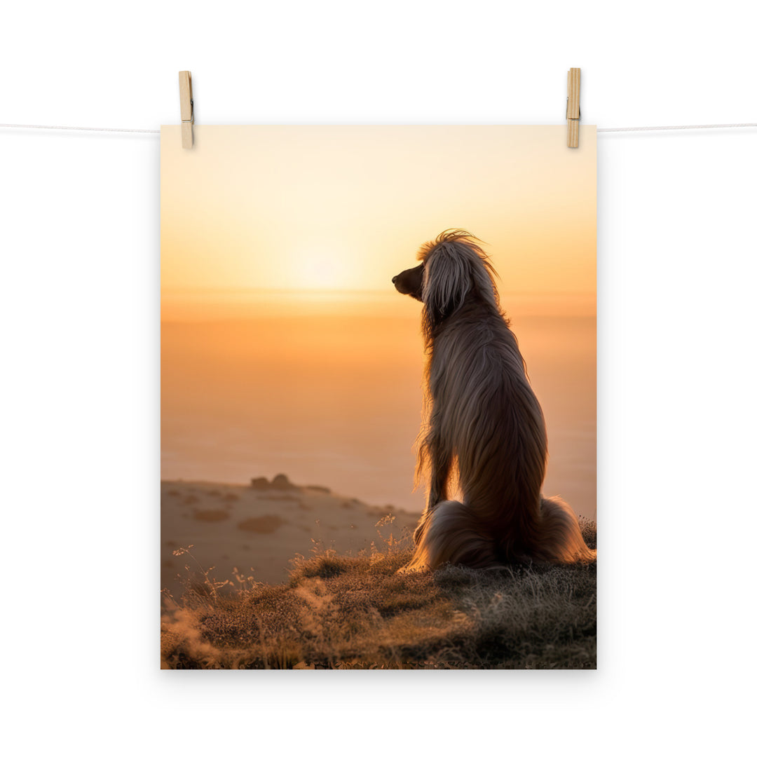 Afghan Hound Photo paper poster - PosterfyAI.com