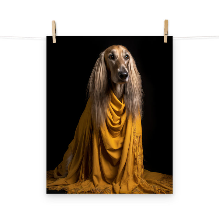 Afghan Hound Photo paper poster - PosterfyAI.com