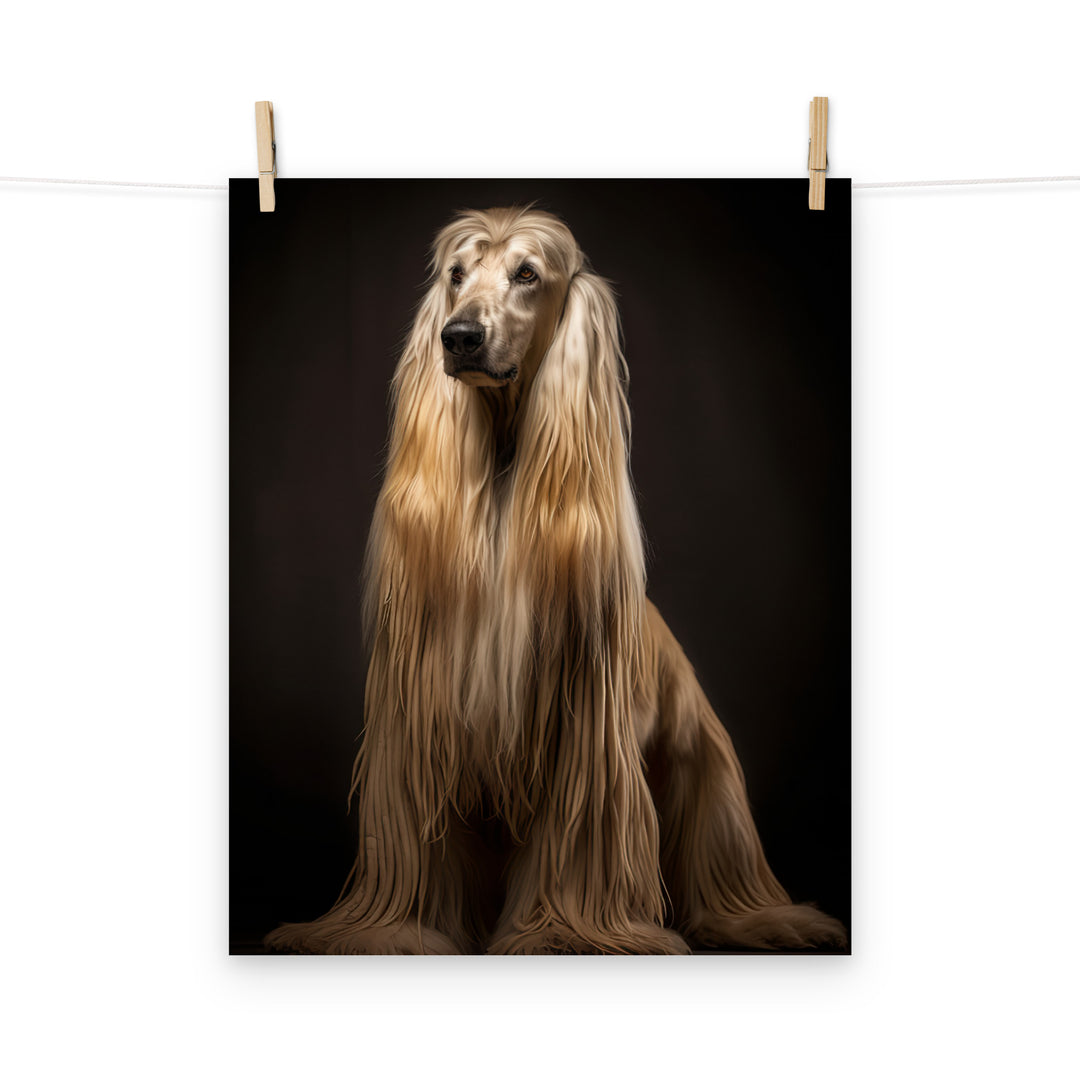 Afghan Hound Photo paper poster - PosterfyAI.com