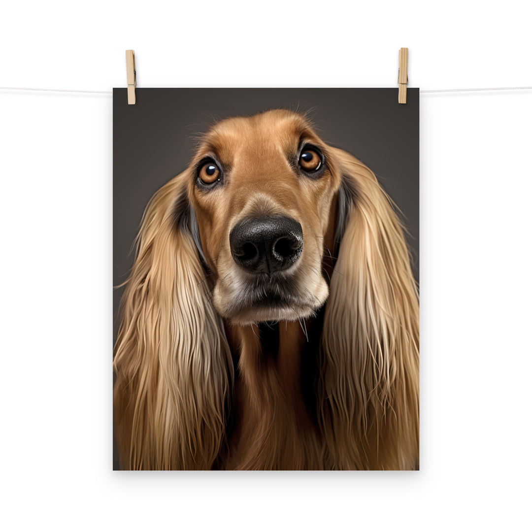 Afghan Hound Photo paper poster - PosterfyAI.com