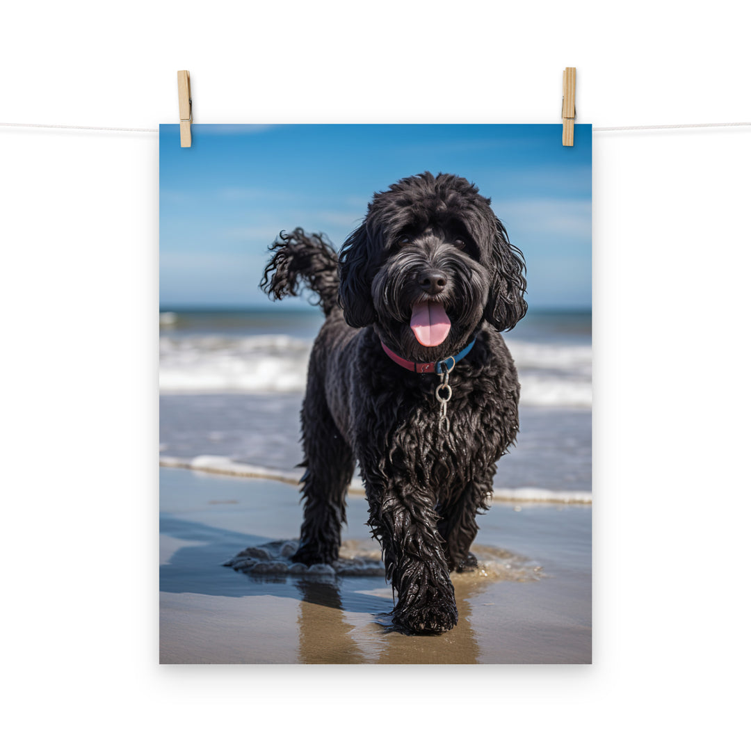 Portuguese Water Dog Photo paper poster - PosterfyAI.com