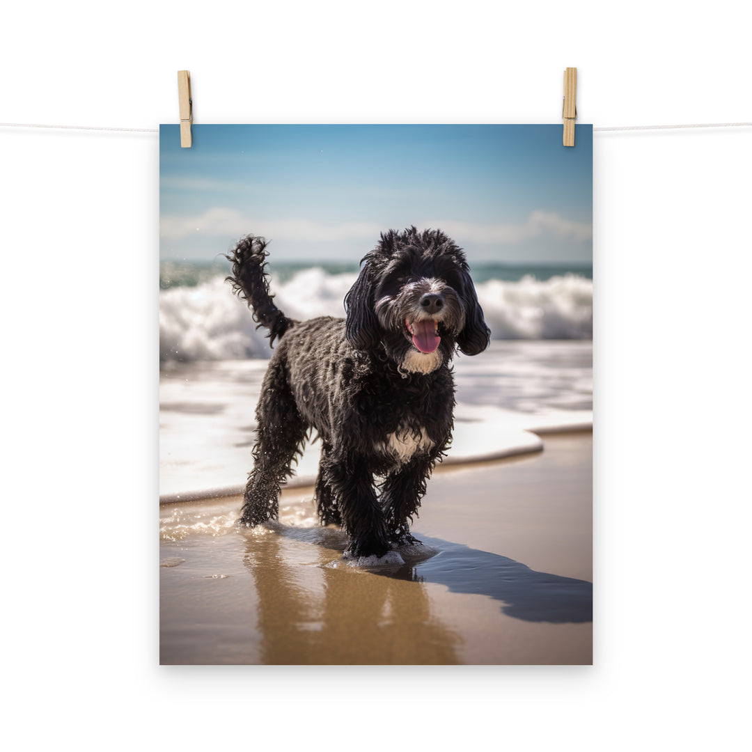 Portuguese Water Dog Photo paper poster - PosterfyAI.com