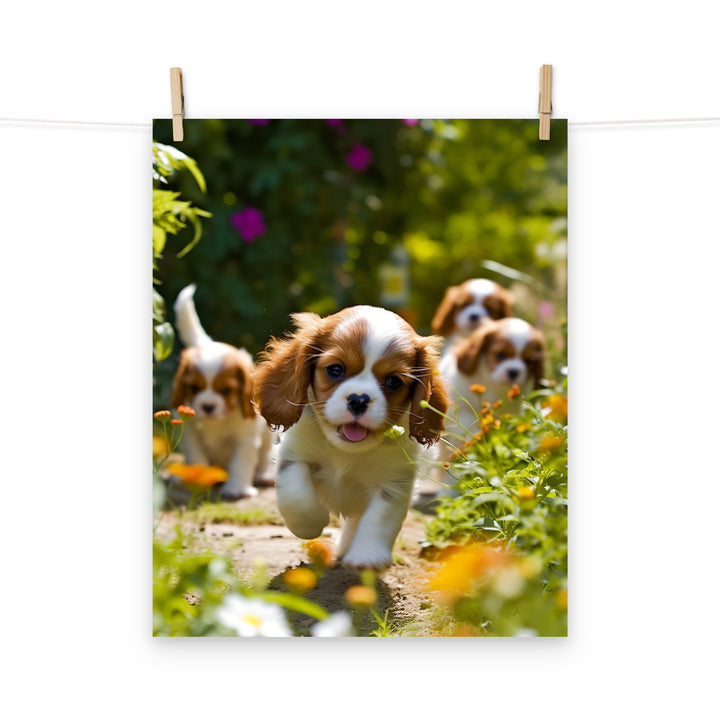 Cavalier King Charles Photo paper poster - PosterfyAI.com