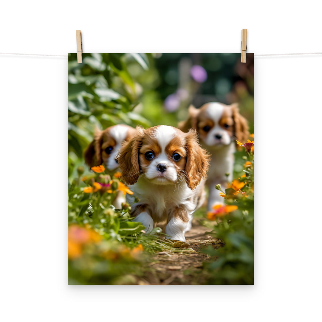 Cavalier King Charles Photo paper poster - PosterfyAI.com