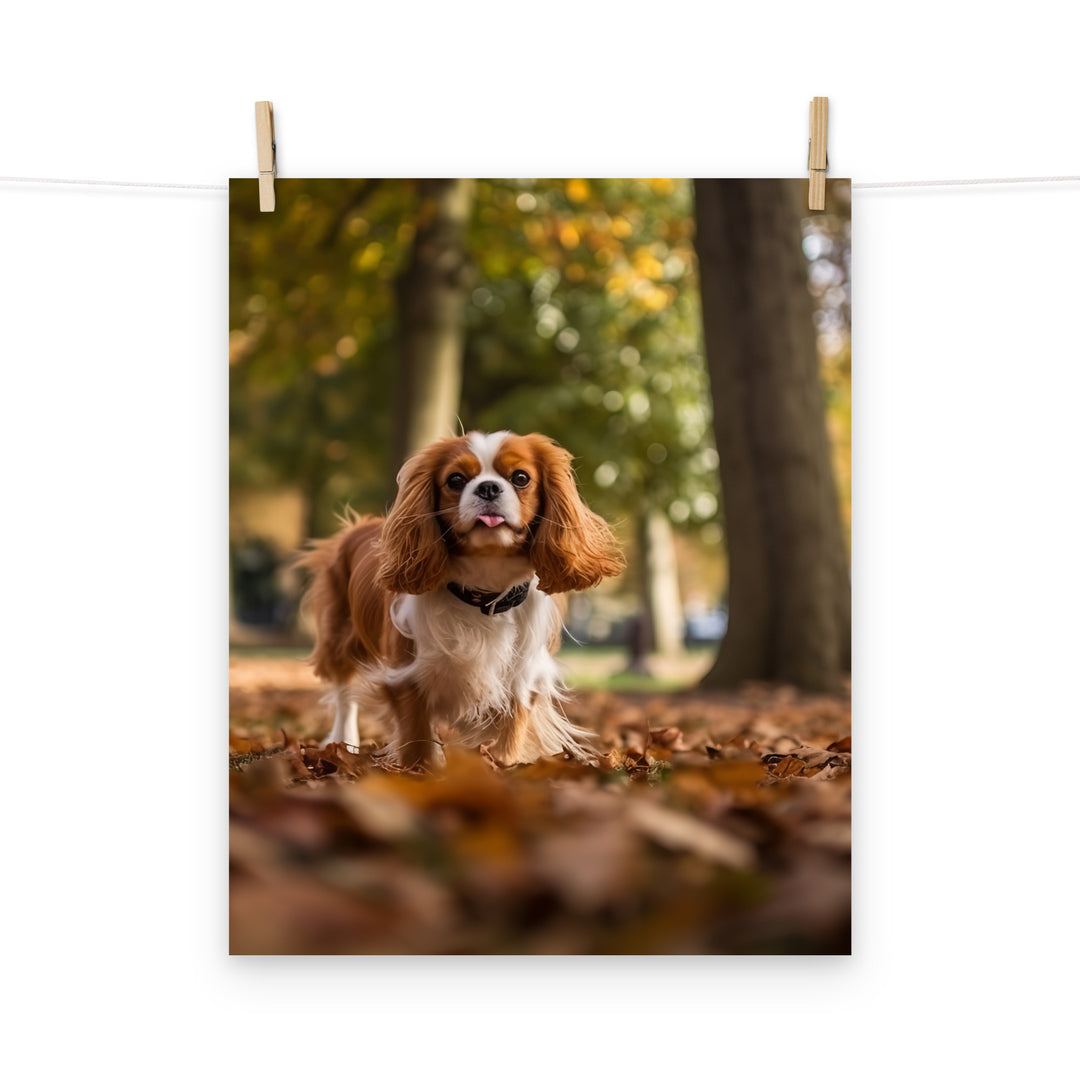 Cavalier King Charles Photo paper poster - PosterfyAI.com