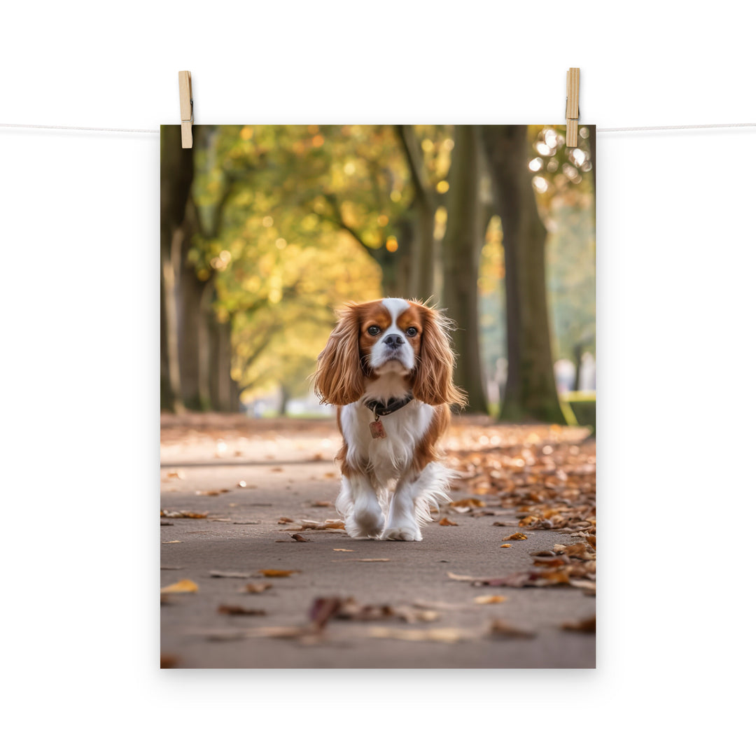 Cavalier King Charles Photo paper poster - PosterfyAI.com