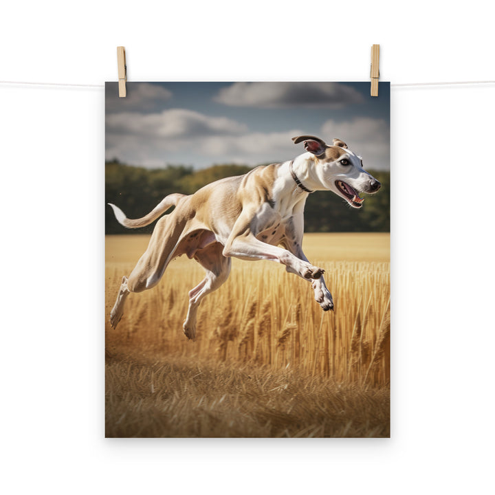 Whippet Photo paper poster - PosterfyAI.com