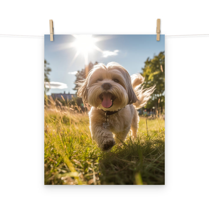 Lhasa Apso Photo paper poster - PosterfyAI.com