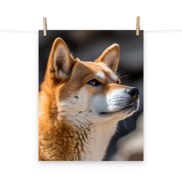 Shiba Inu Photo paper poster - PosterfyAI.com