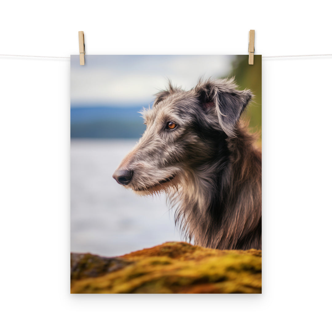 Scottish Deerhound Photo paper poster - PosterfyAI.com