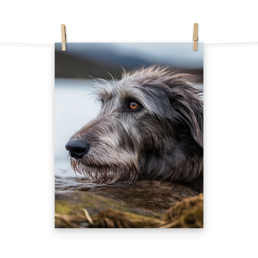 Scottish Deerhound Photo paper poster - PosterfyAI.com