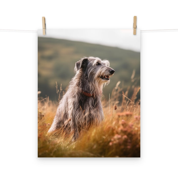 Scottish Deerhound Photo paper poster - PosterfyAI.com