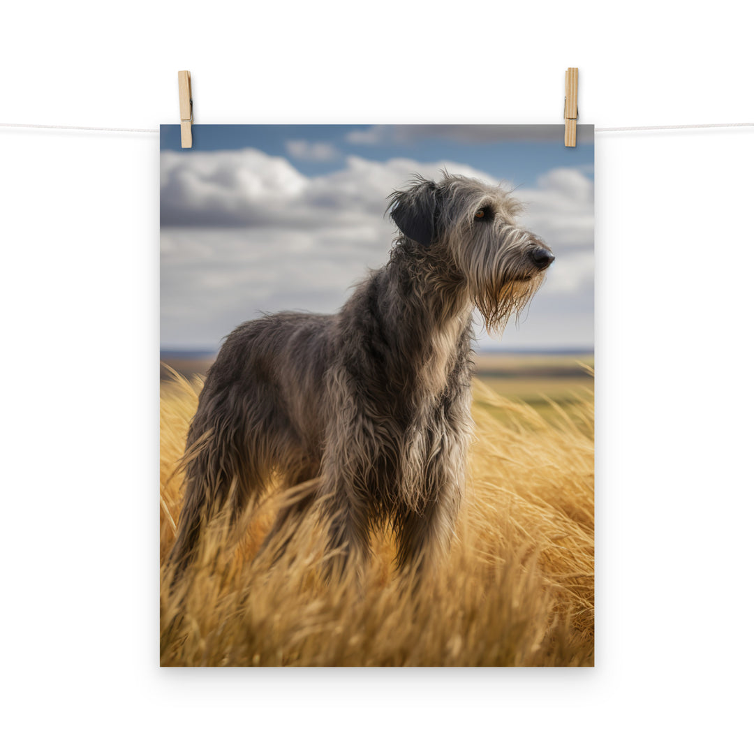 Scottish Deerhound Photo paper poster - PosterfyAI.com