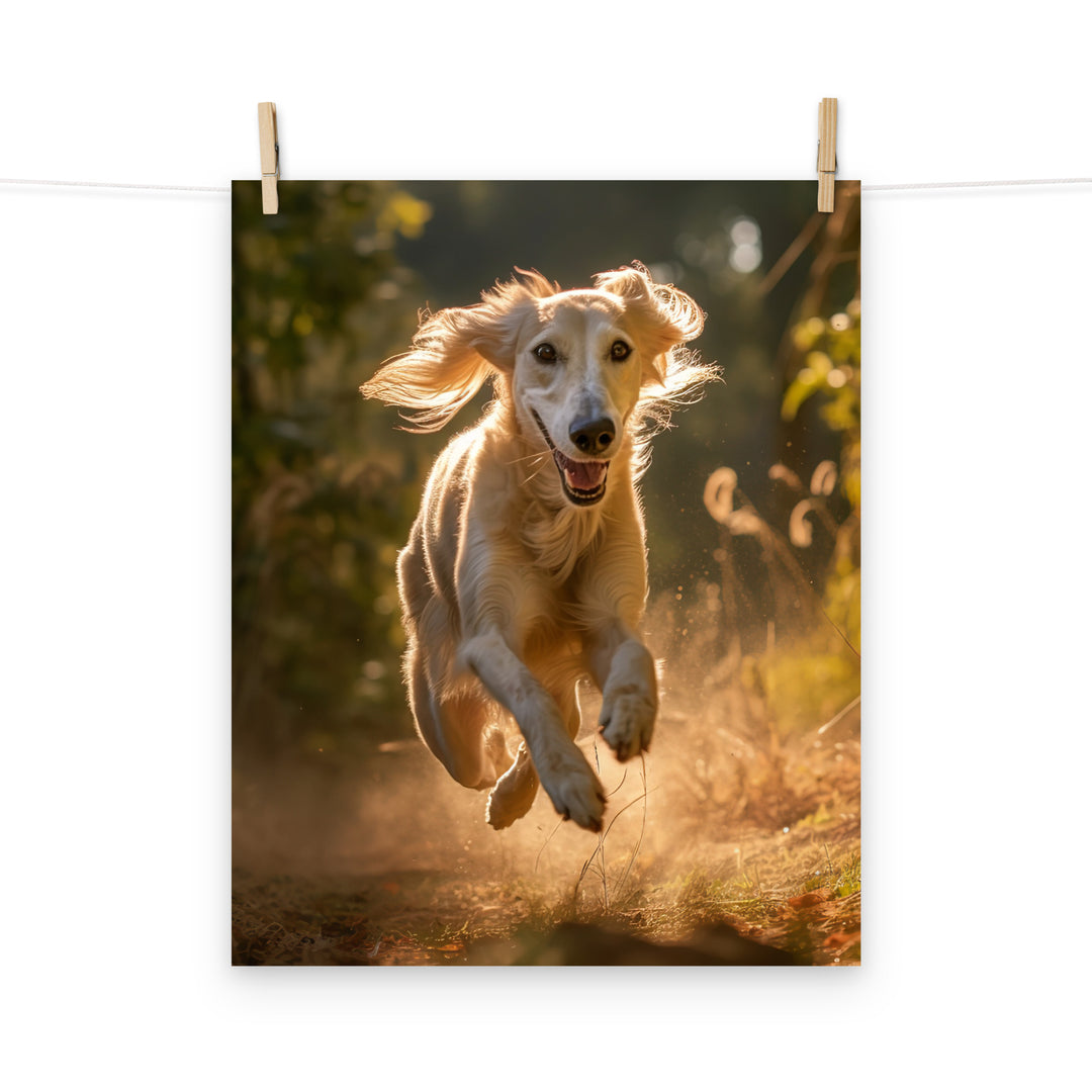 Saluki Photo paper poster - PosterfyAI.com