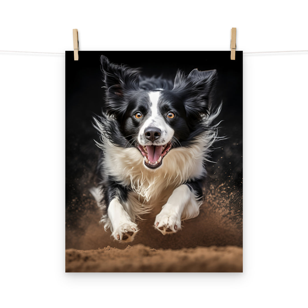 Border Collie Photo paper poster - PosterfyAI.com