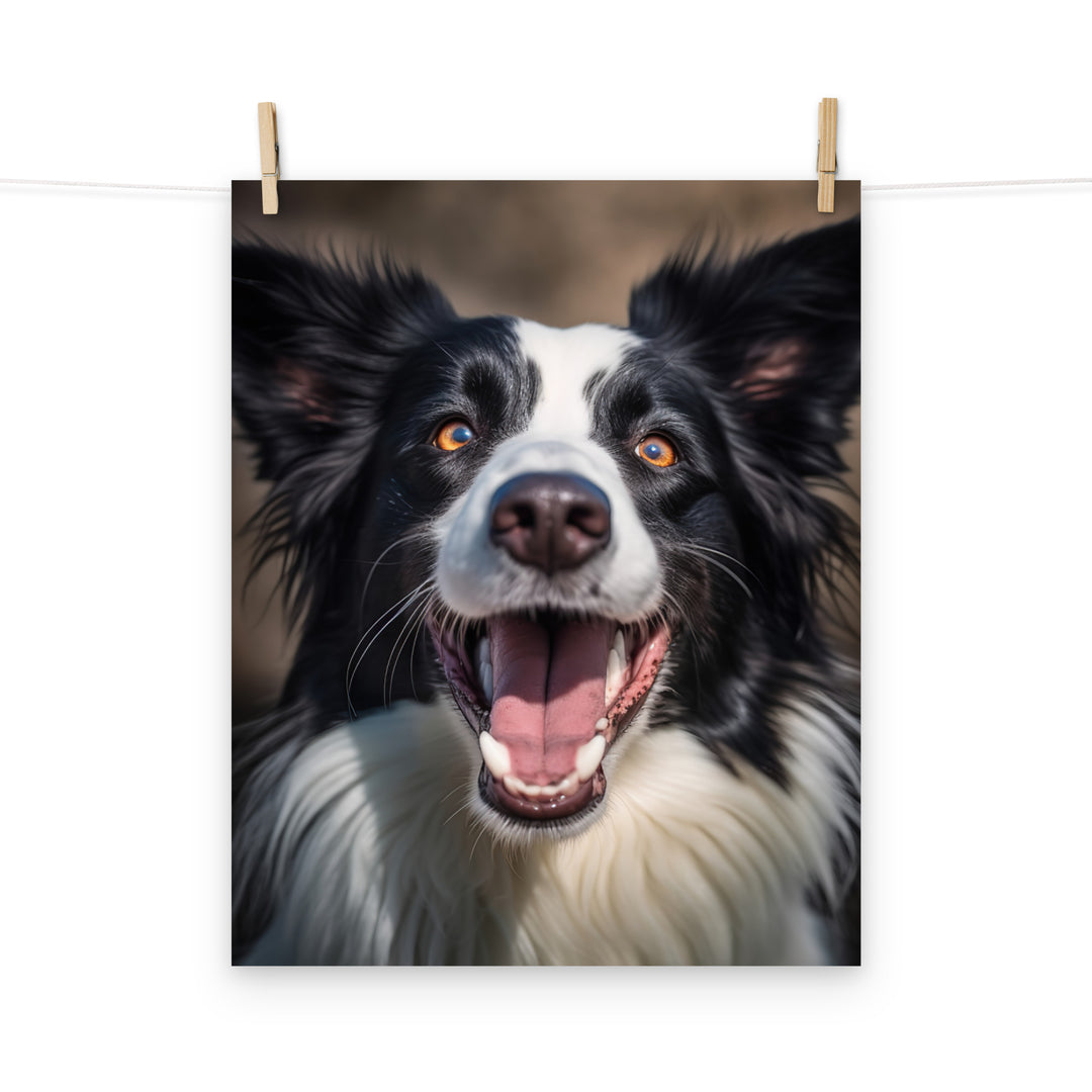 Border Collie Photo paper poster - PosterfyAI.com