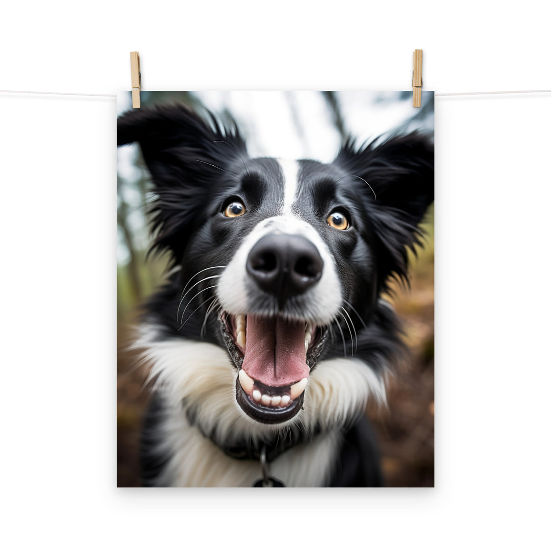 Border Collie Photo paper poster - PosterfyAI.com