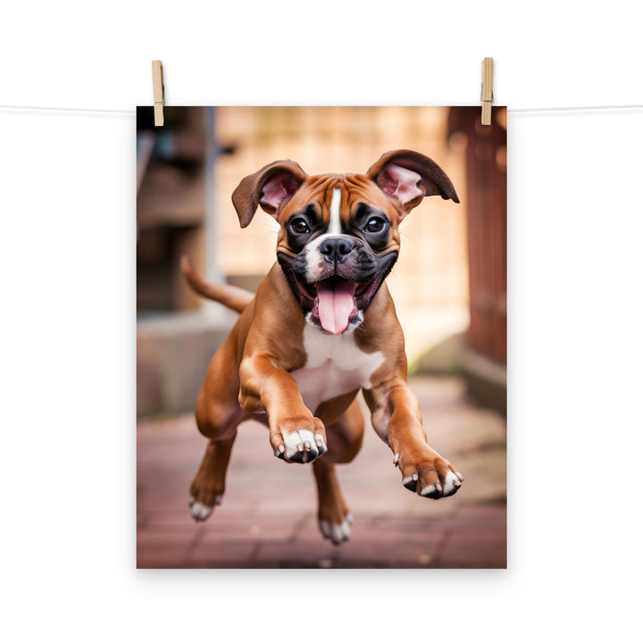 Boxer Photo paper poster - PosterfyAI.com