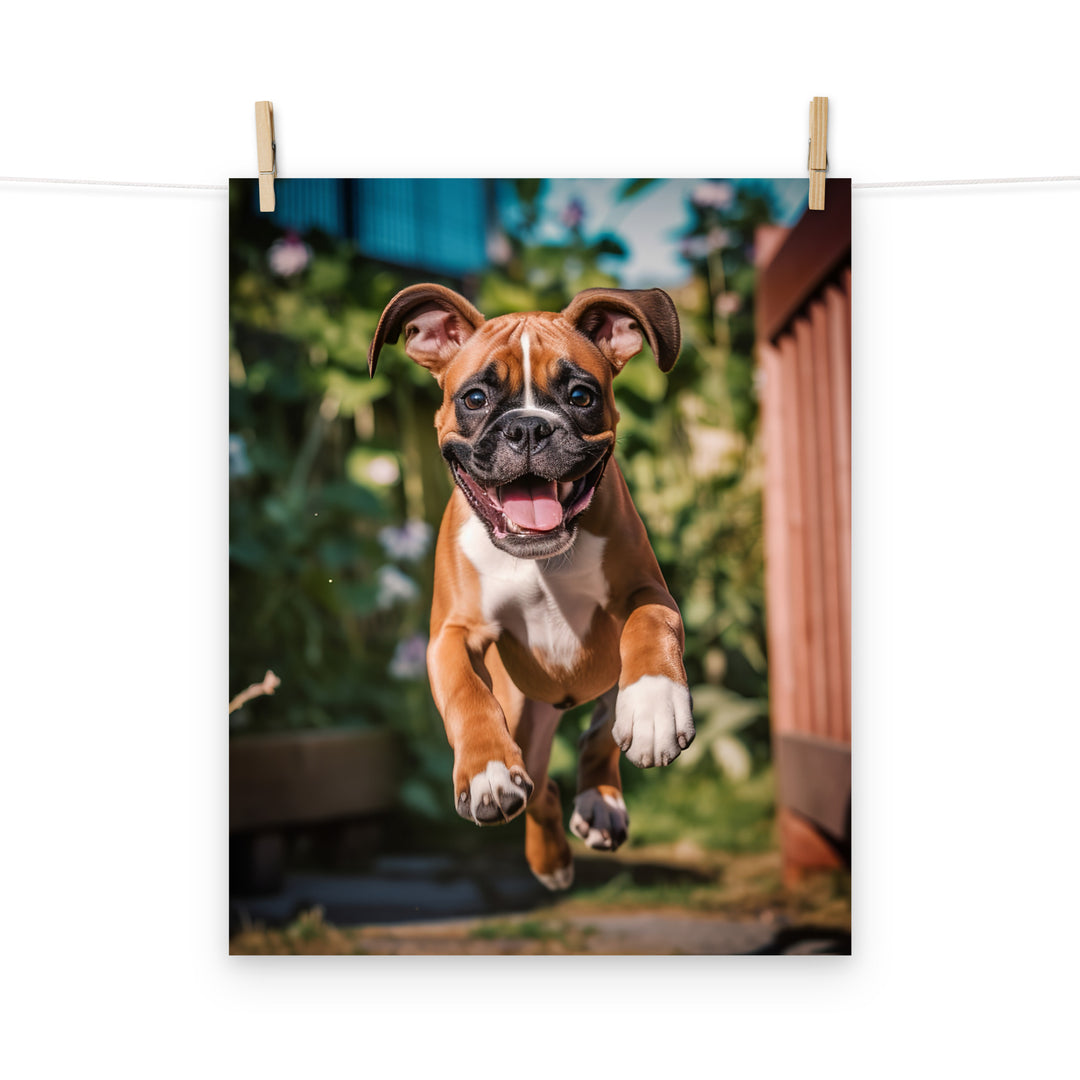 Boxer Photo paper poster - PosterfyAI.com