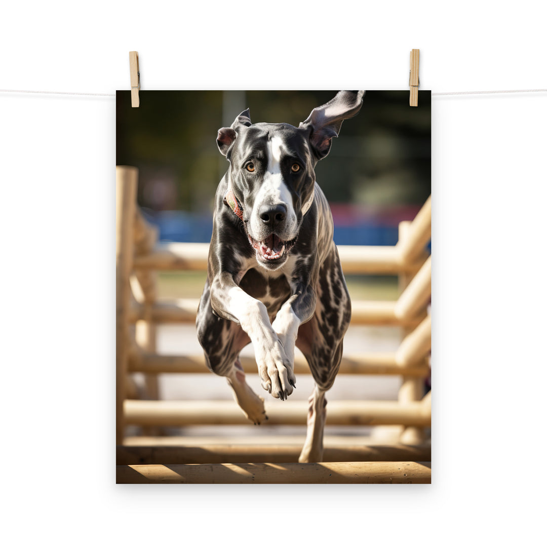 Great Dane Photo paper poster - PosterfyAI.com