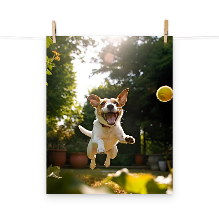 Jack Russell Terrier Photo paper poster - PosterfyAI.com