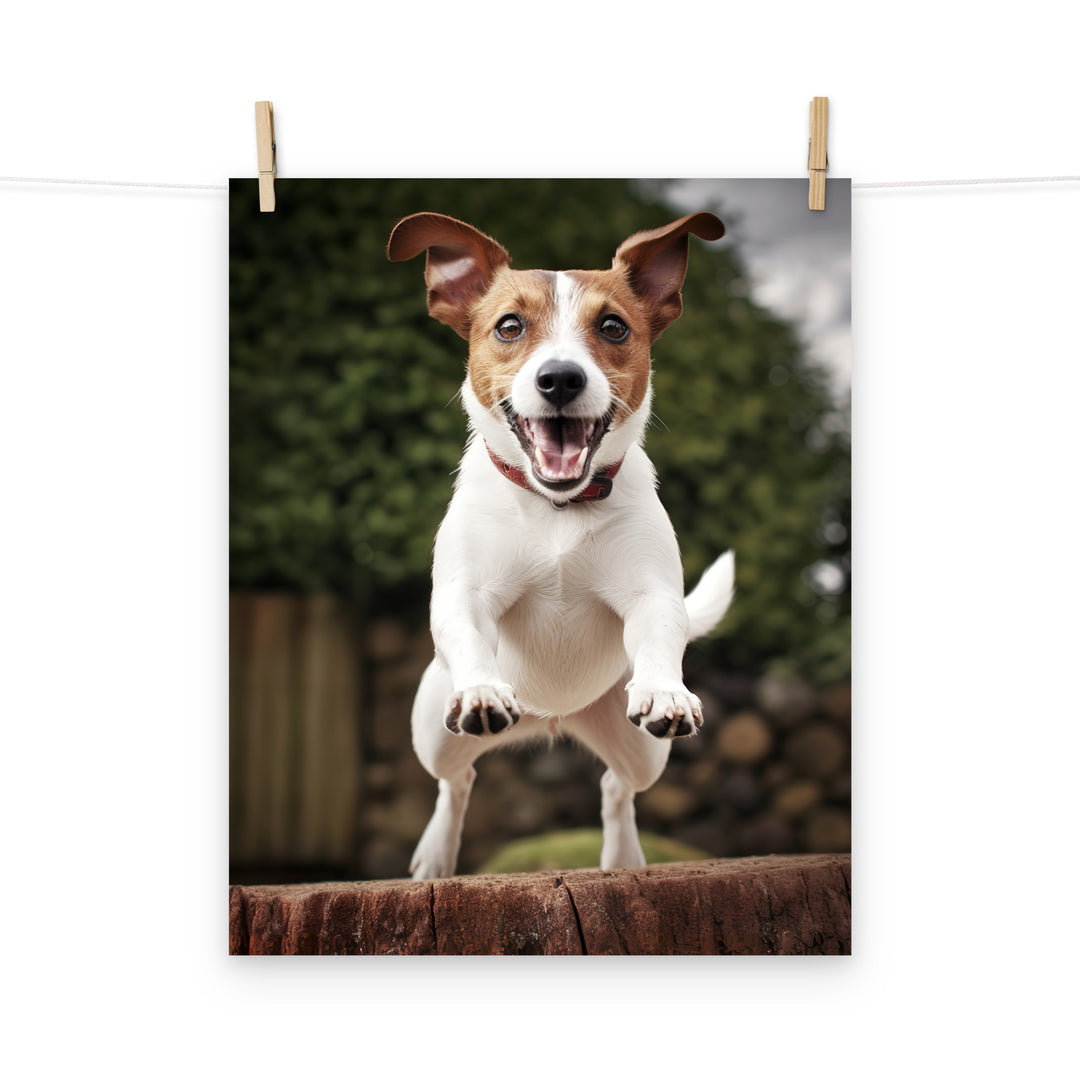 Jack Russell Terrier Photo paper poster - PosterfyAI.com