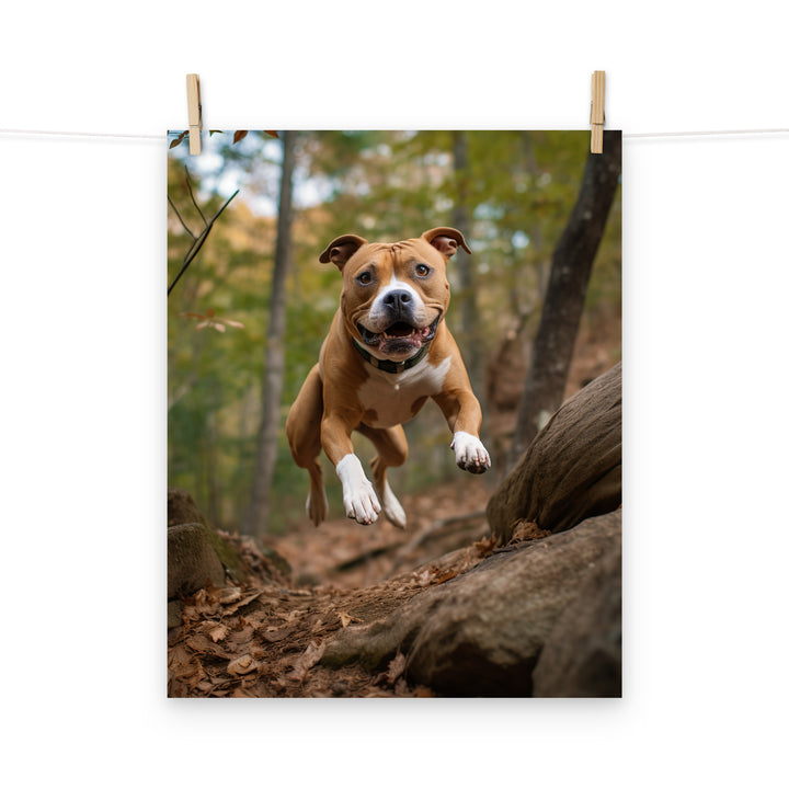 American Staffordshire Terrier Photo paper poster - PosterfyAI.com