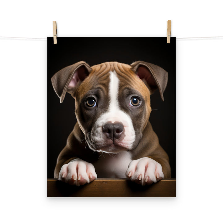 American Staffordshire Terrier Photo paper poster - PosterfyAI.com