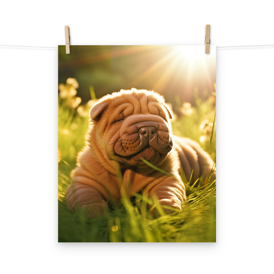 Shar Pei Photo paper poster - PosterfyAI.com