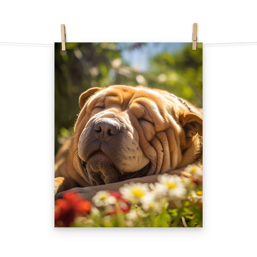 Shar Pei Photo paper poster - PosterfyAI.com