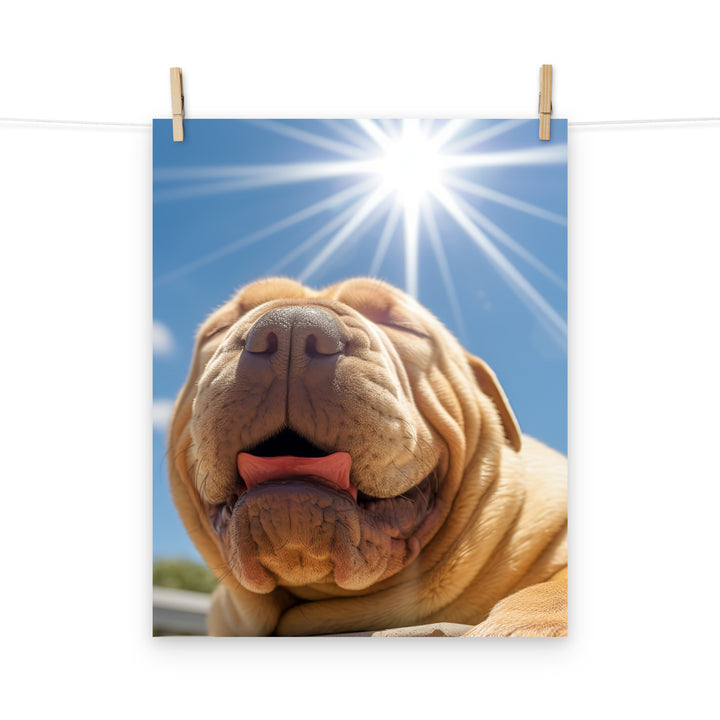 Shar Pei Photo paper poster - PosterfyAI.com