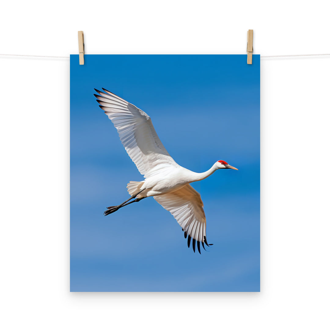 Crane Photo paper poster - PosterfyAI.com