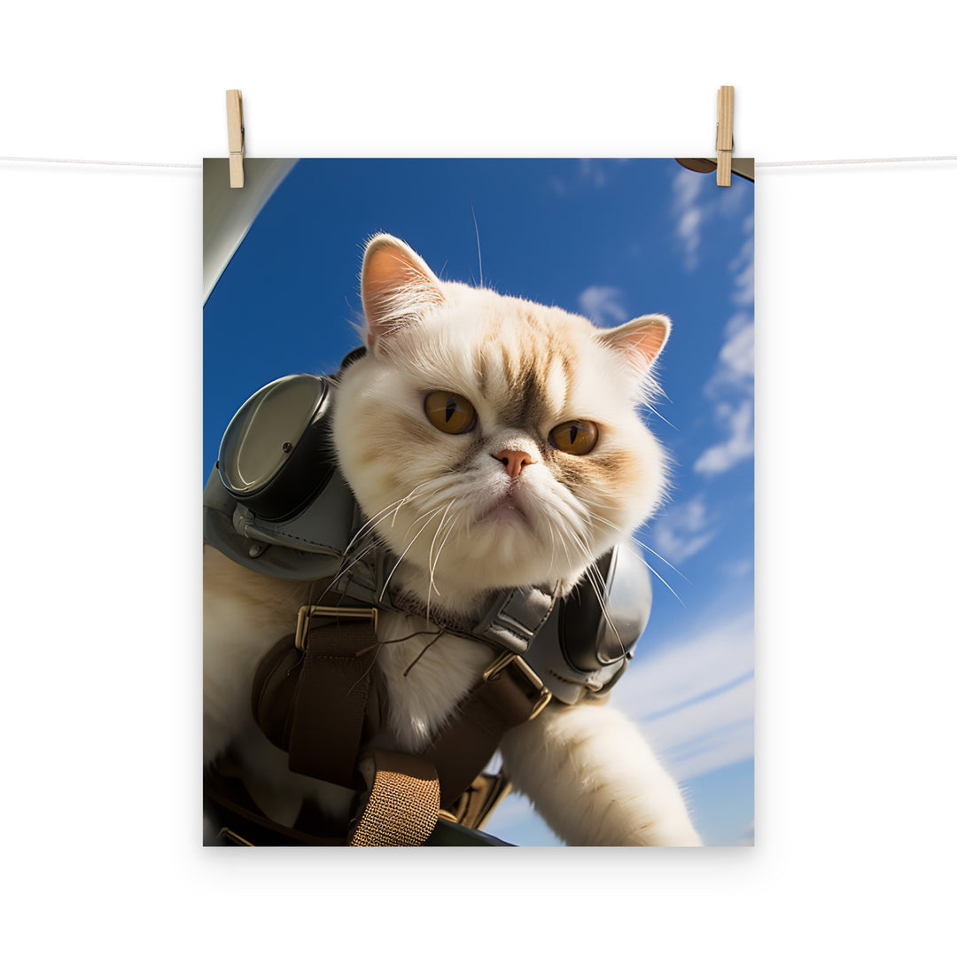 Exotic Shorthair Pilot Photo paper poster - PosterfyAI.com