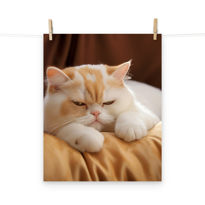 Exotic Shorthair Photo paper poster - PosterfyAI.com