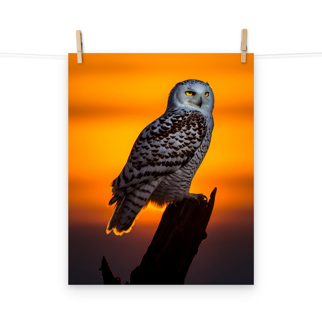 Owl Photo paper poster - PosterfyAI.com