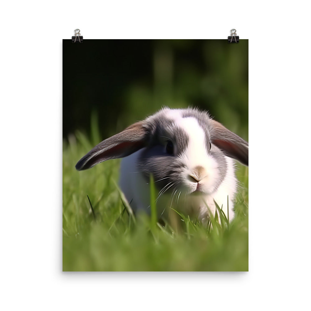 Playful Mini Lop Bunny in a Meadow Photo paper poster - PosterfyAI.com