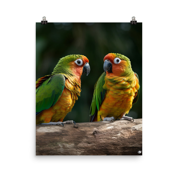 Two Conures perched side by side Photo paper poster - PosterfyAI.com
