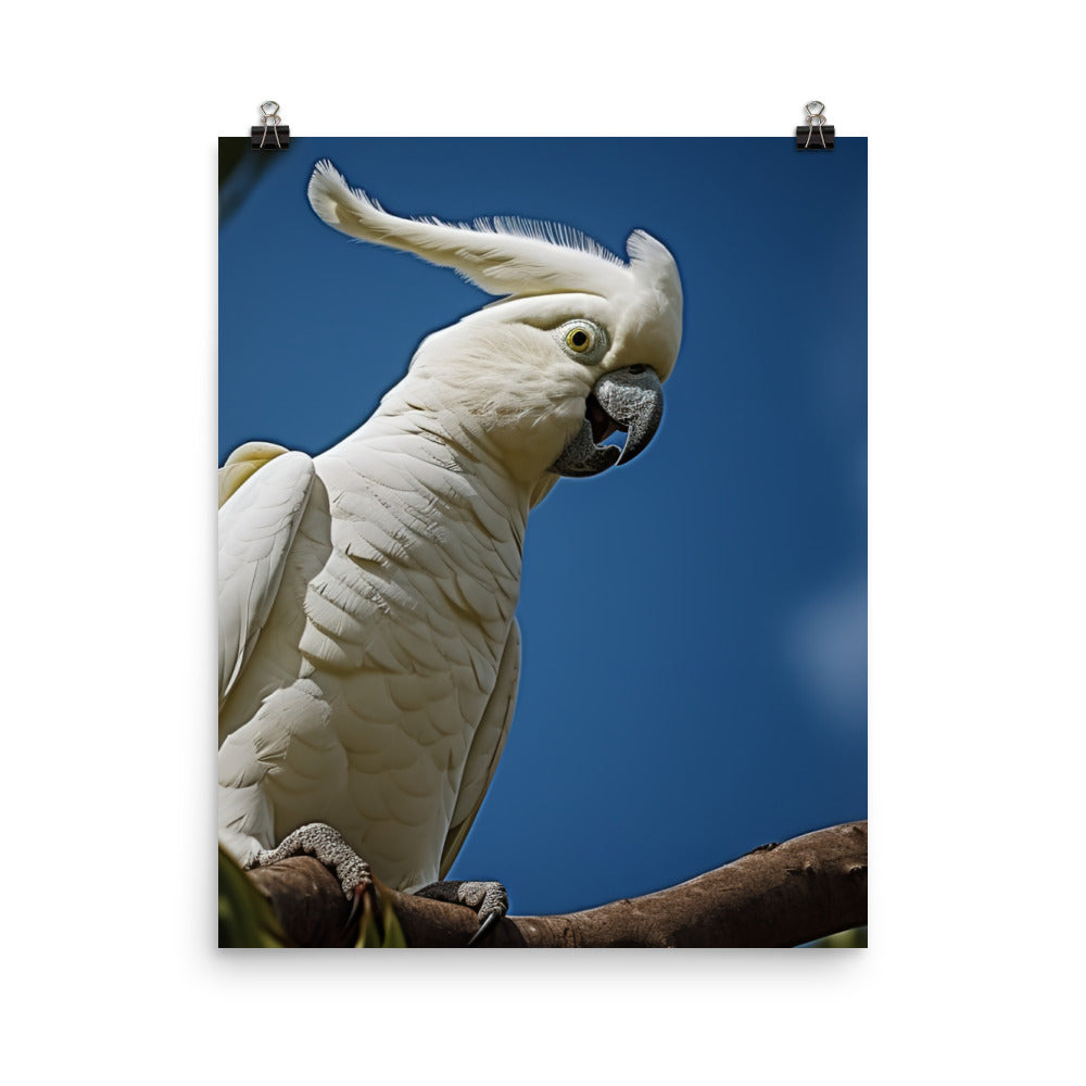 Snowy White Cockatoo Photo paper poster - PosterfyAI.com