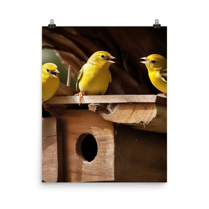 Singing canaries in a birdhouse Photo paper poster - PosterfyAI.com